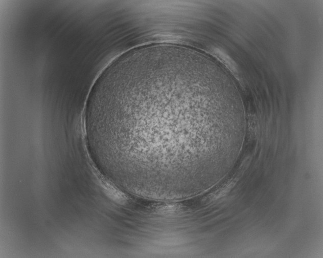 X0000073460891200608111507