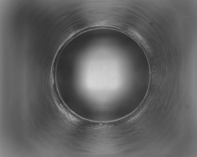 X0000073460892200608111507