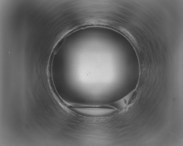 X0000073460893200608111507