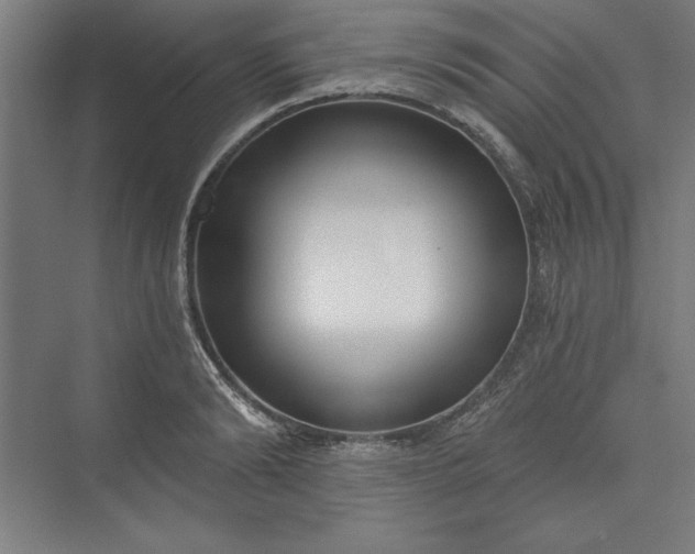 X0000073460894200608111507