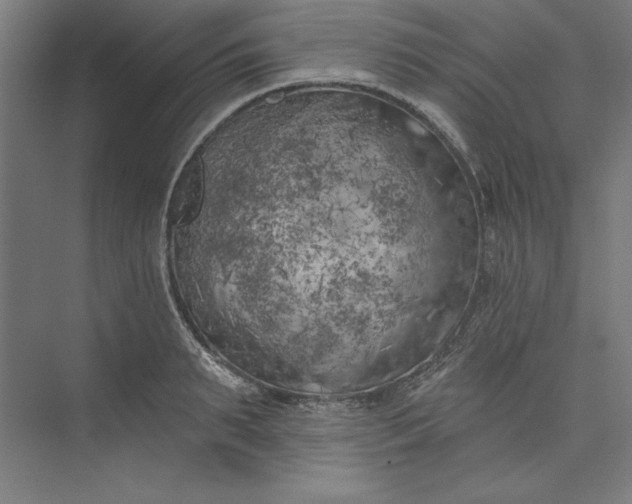 X0000073460895200608111507