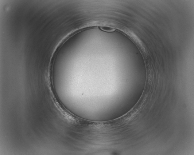 X0000073460896200608111507