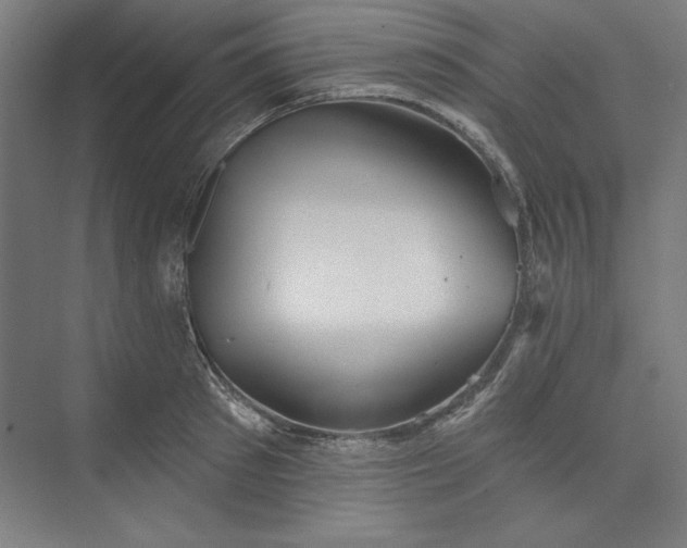 X0000073460897200608111507