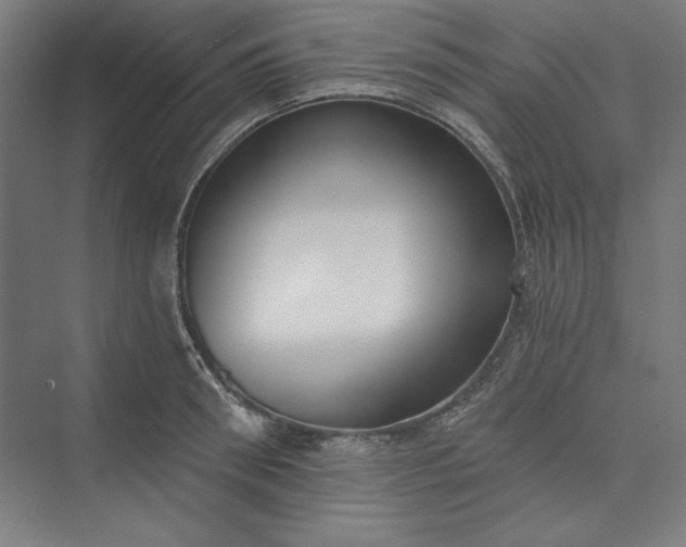 X0000073460898200608111507