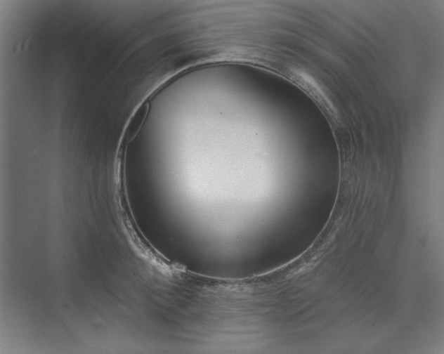 X0000073460900200608111507