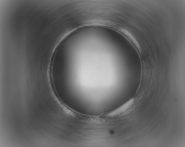 X0000073460901200608111507