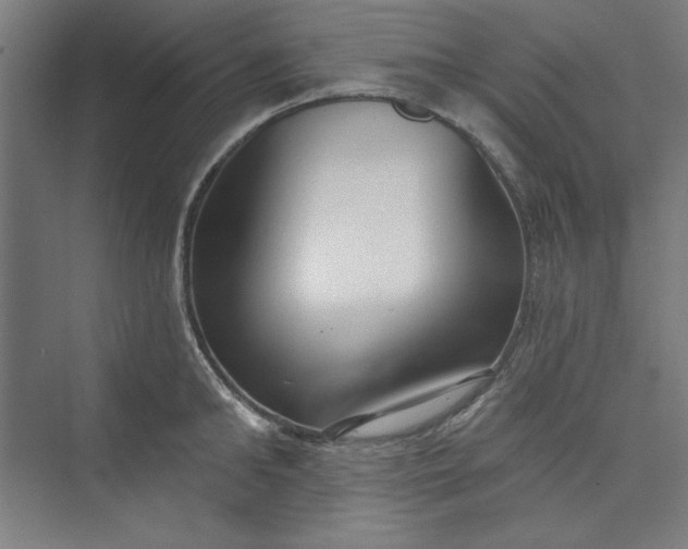 X0000073460902200608111507