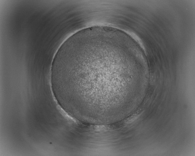 X0000073460903200608111507