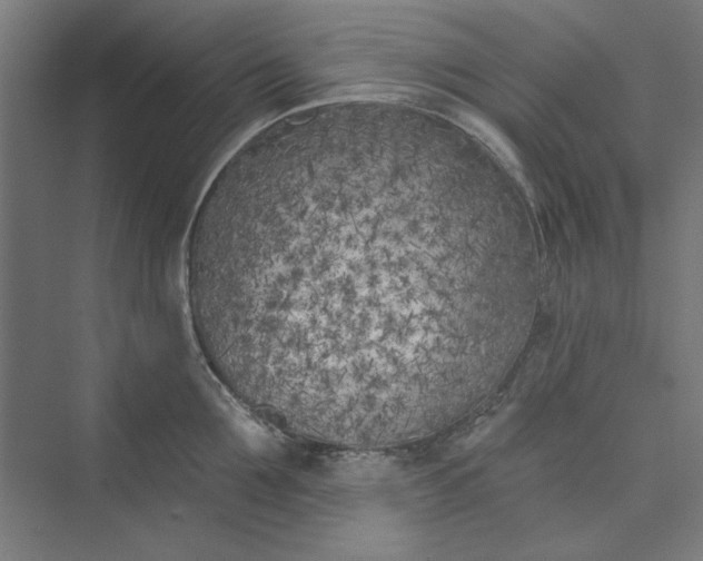 X0000073460907200608111507