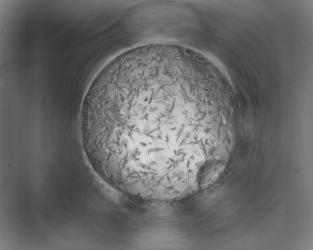 X0000073460911200608111507