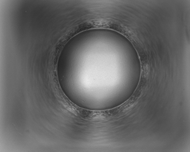 X0000073460913200608111506