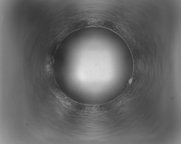 X0000073460914200608111506