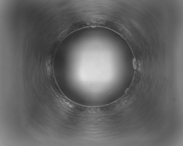 X0000073460915200608111506