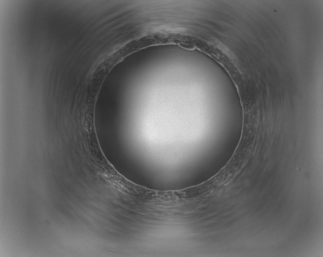 X0000073460919200608111506