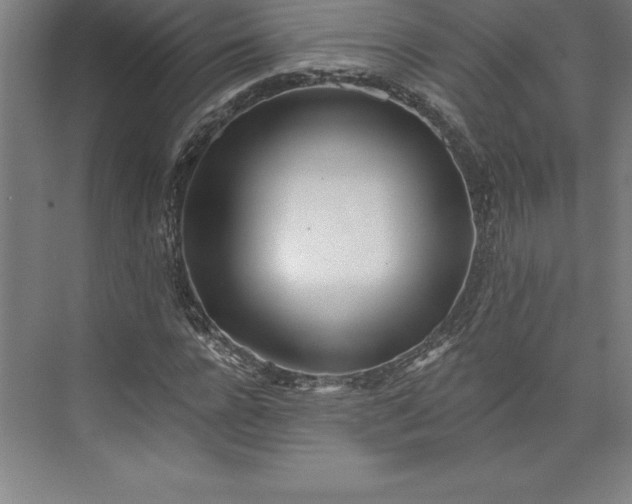 X0000073460920200608111506