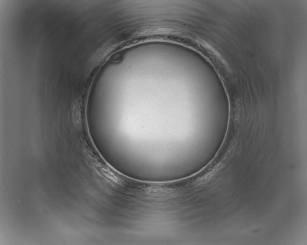 X0000073460921200608111506