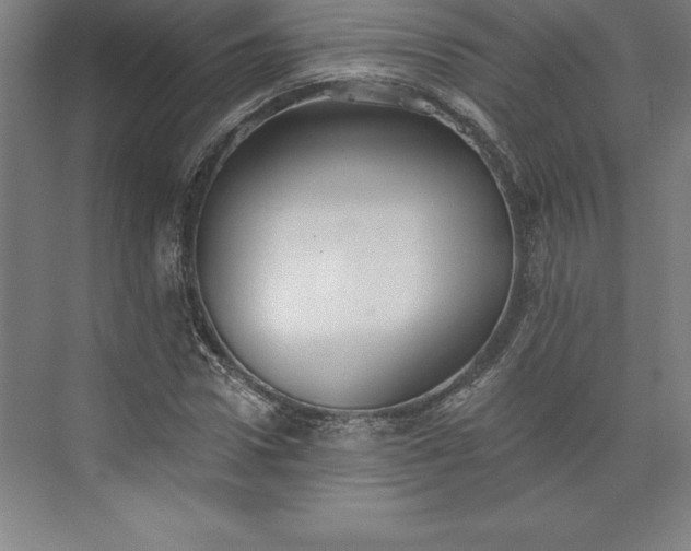 X0000073460922200608111506