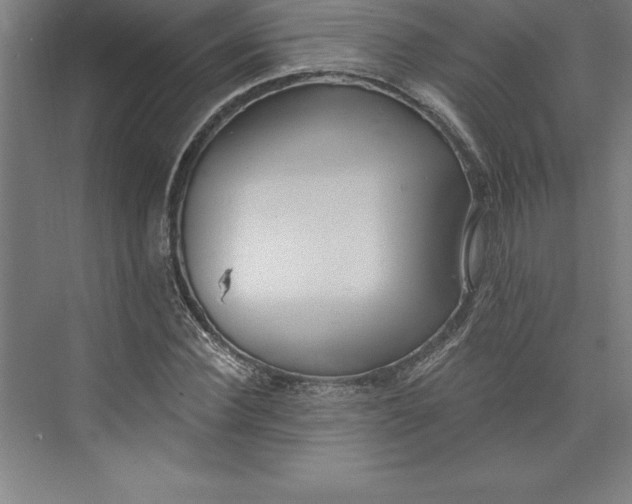 X0000073460924200608111506