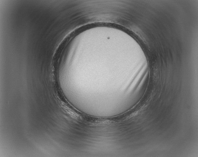 X0000073460926200608111506