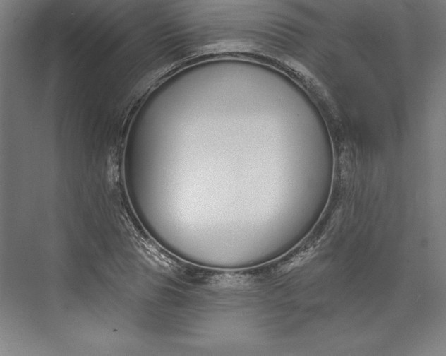 X0000073460929200608111506