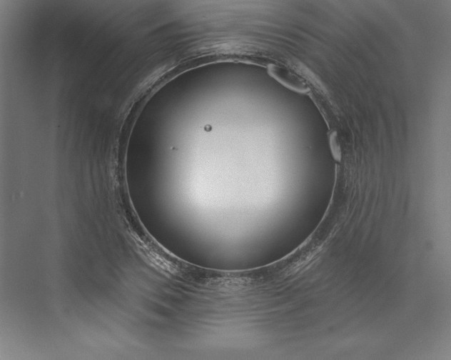 X0000073460930200608111506