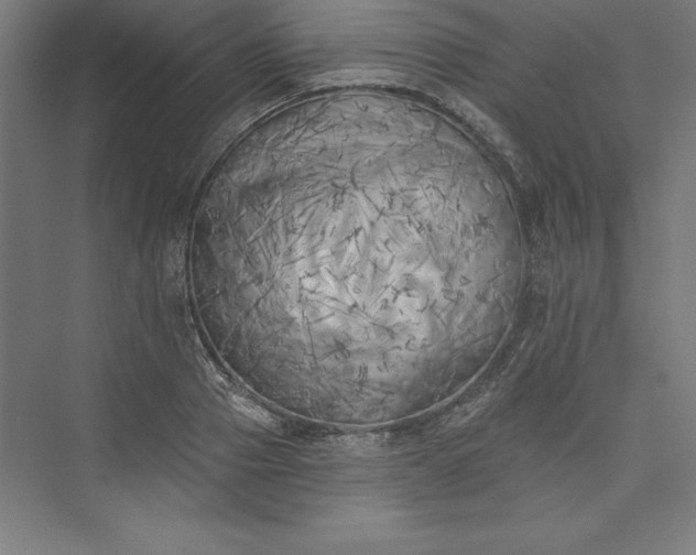 X0000073460937200608111506