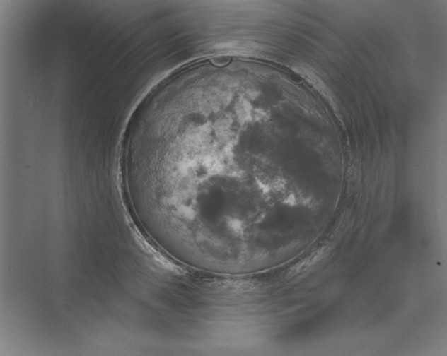 X0000073460941200608111506