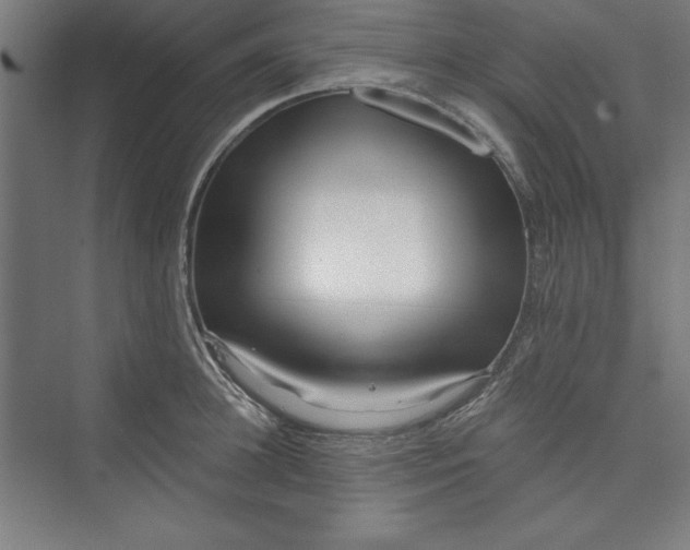 X0000073460948200608111506