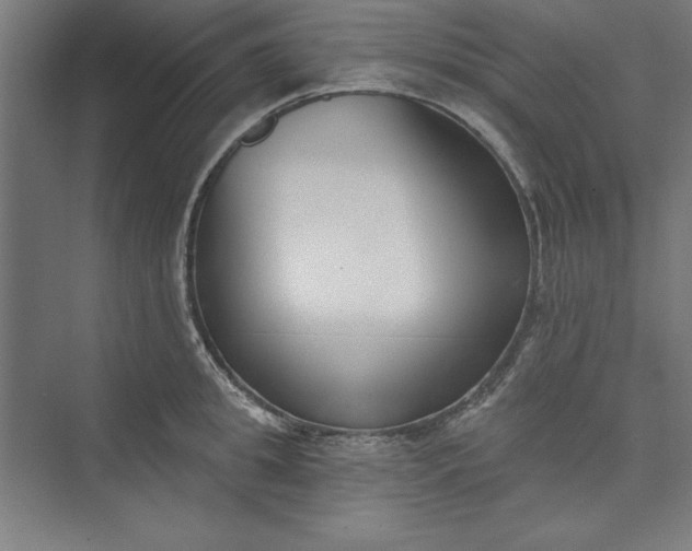 X0000073460949200608111506