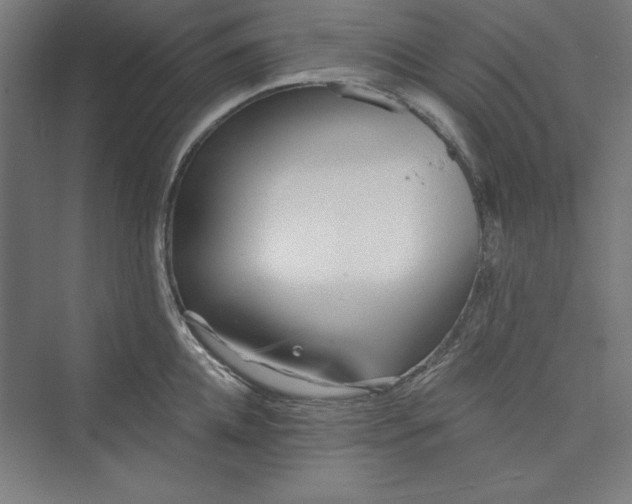 X0000073460952200608111506