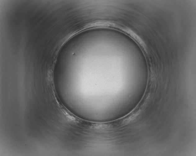 X0000073460953200608111506