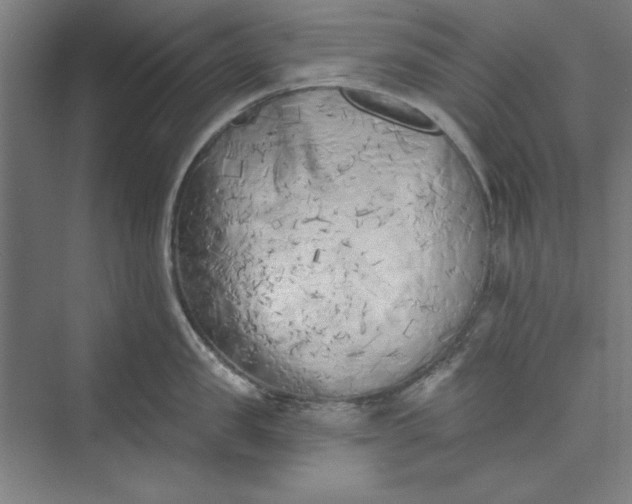 X0000073460957200608111507