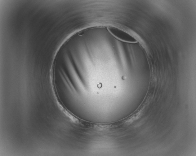 X0000073460958200608111507