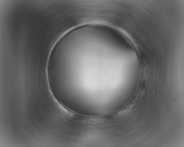 X0000073460959200608111507