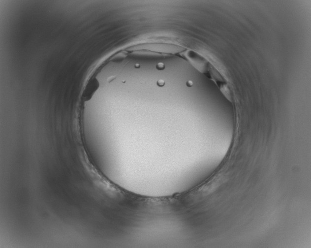 X0000073460960200608111507