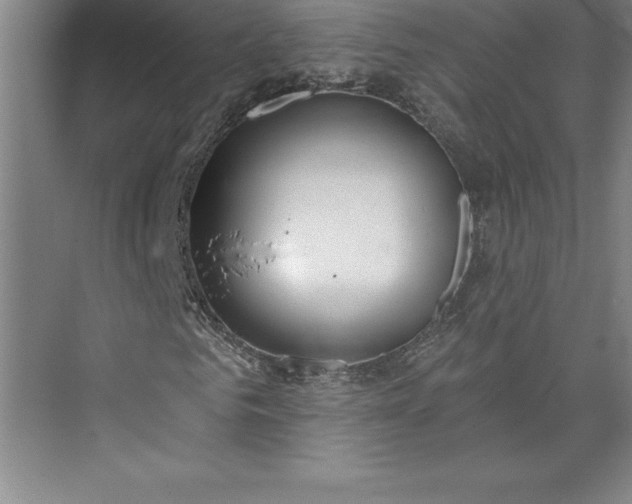 X0000073460961200608111506