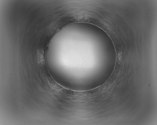 X0000073460963200608111506