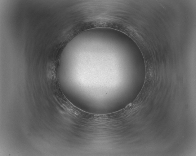 X0000073460964200608111506