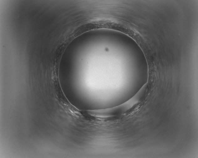 X0000073460965200608111506