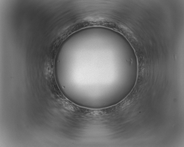 X0000073460966200608111506