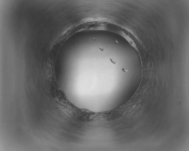 X0000073460967200608111506