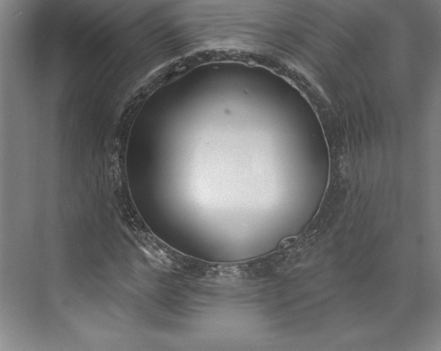 X0000073460968200608111506