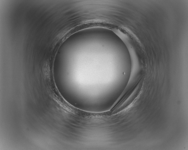 X0000073460969200608111506