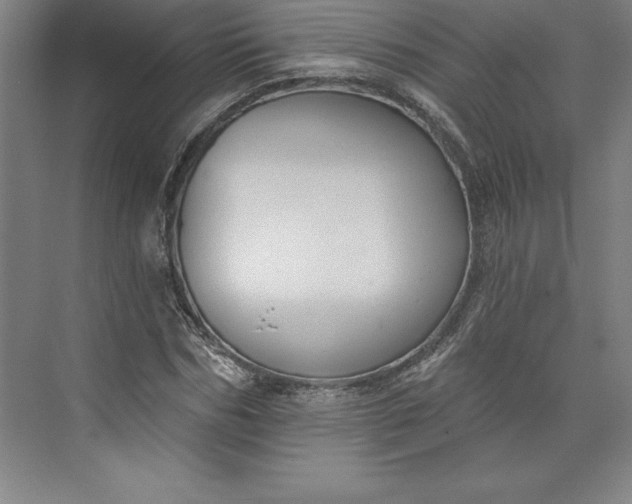 X0000073460970200608111506