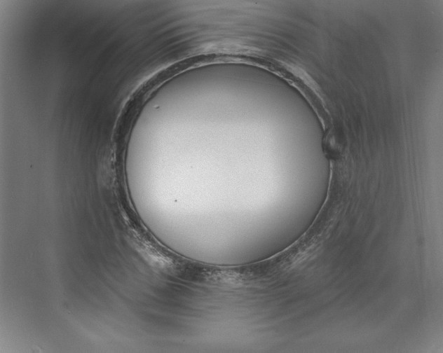 X0000073460971200608111506