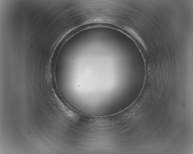 X0000073460972200608111506