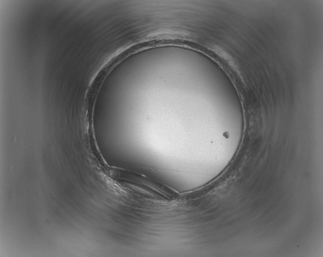 X0000073460973200608111506