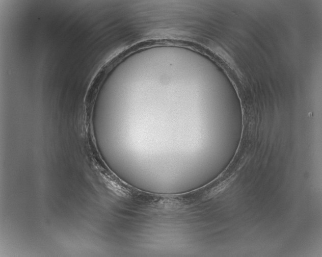 X0000073460974200608111506