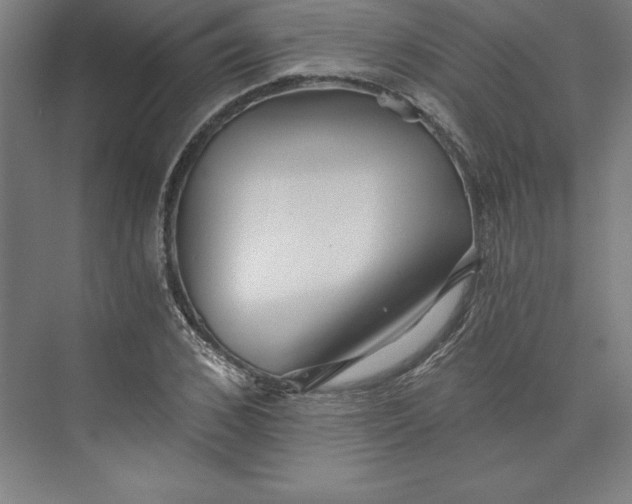 X0000073460976200608111505