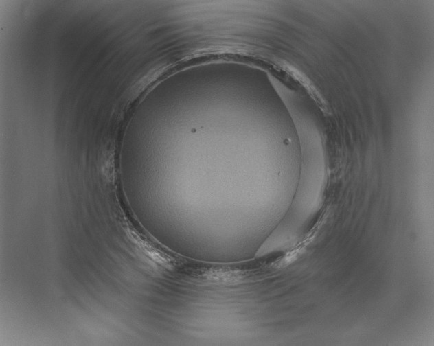 X0000073460977200608111505